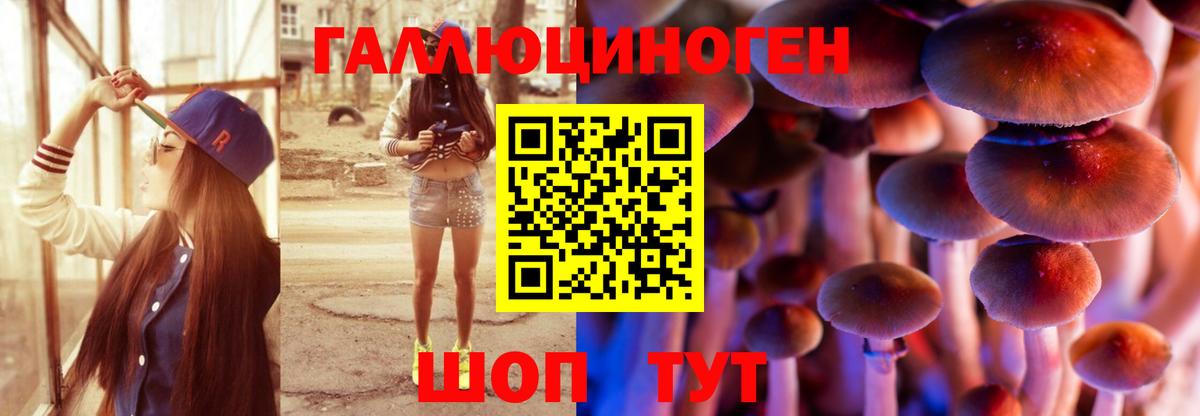 где продают наркотики  Псилоцибиновые грибы Psilocybe  Вход с VPN  Шали 